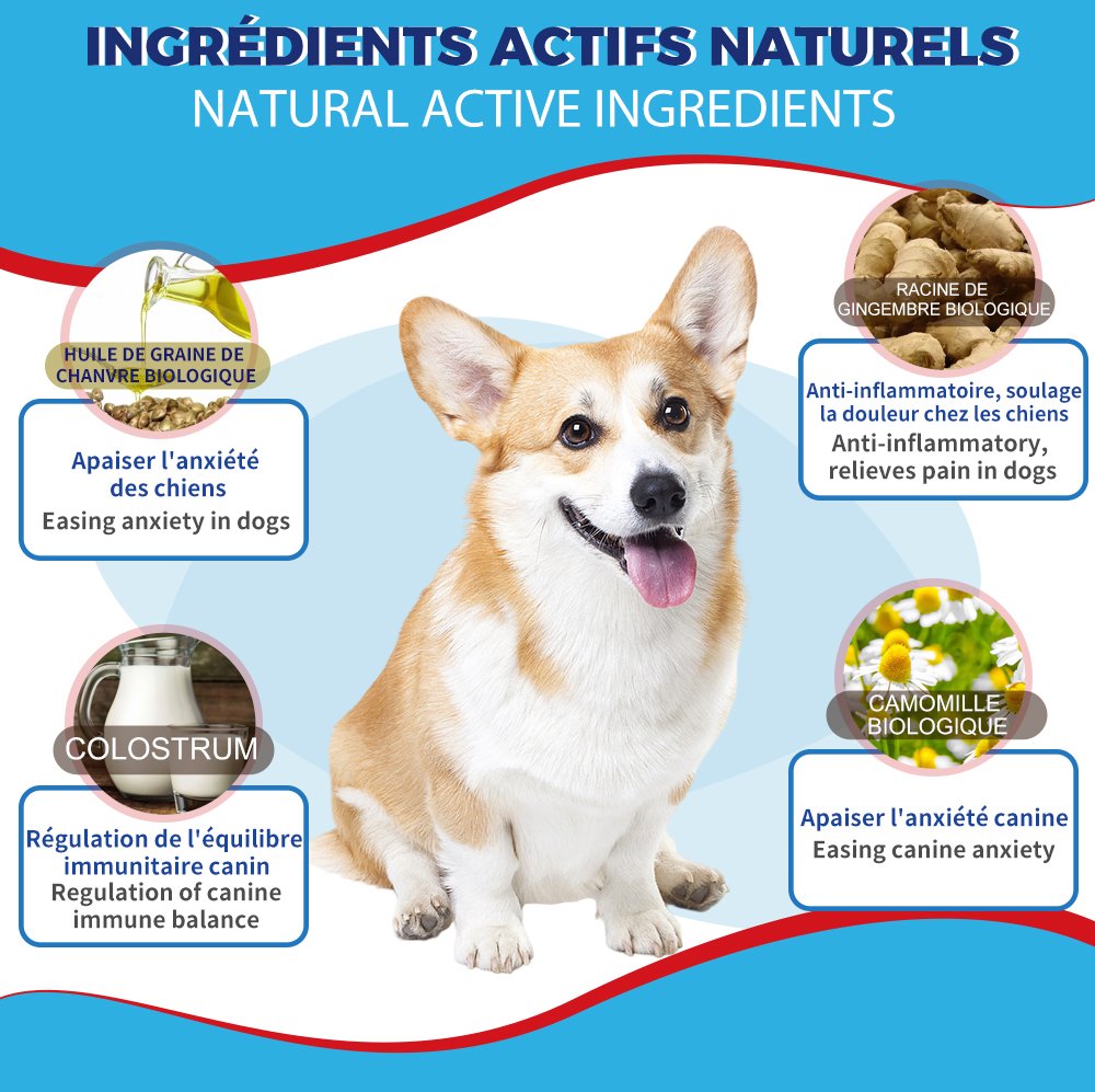 Gâteries fonctionnelles calmantes pour chien Anivéra