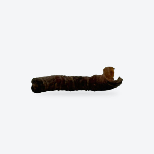 Lanières de carotte : une gâterie / Carrot chews: one treat