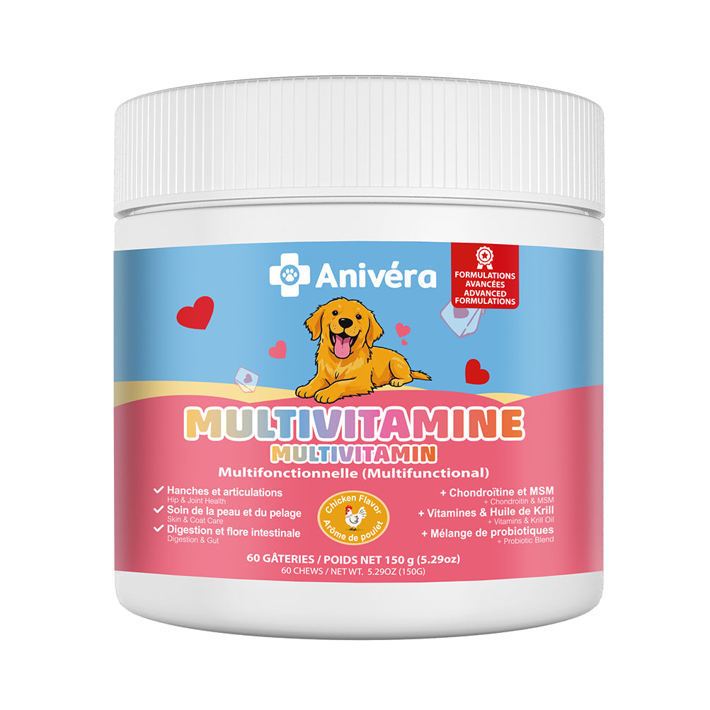 Supplément multivitamine pour chien Anivéra