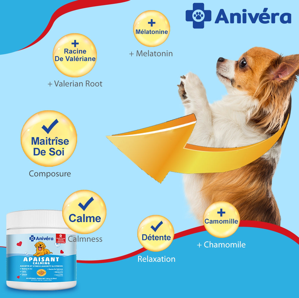 Gâteries fonctionnelles calmantes pour chien Anivéra