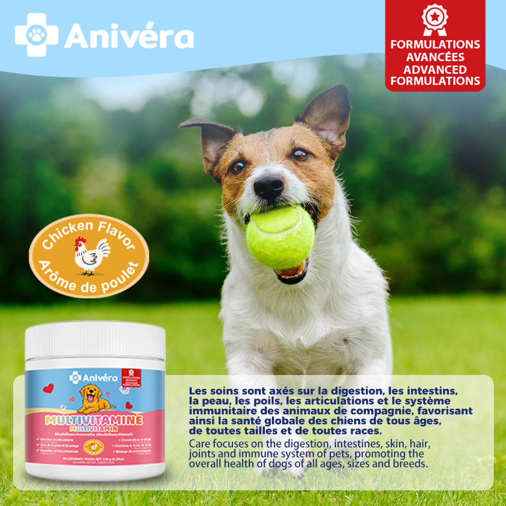 Supplément multivitamine pour chien Anivéra