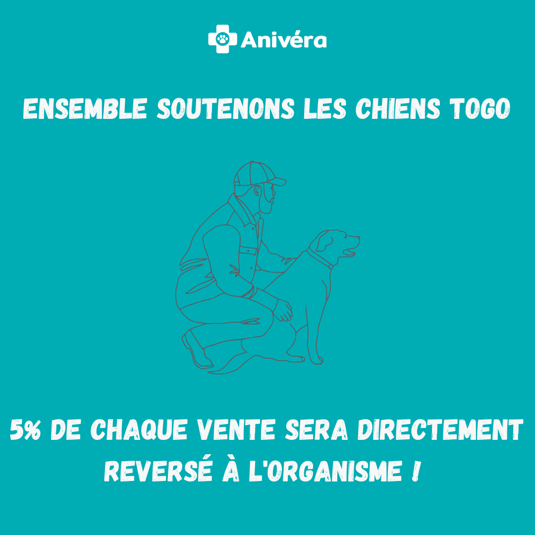 Notre partenariat avec Les chiens TOGO