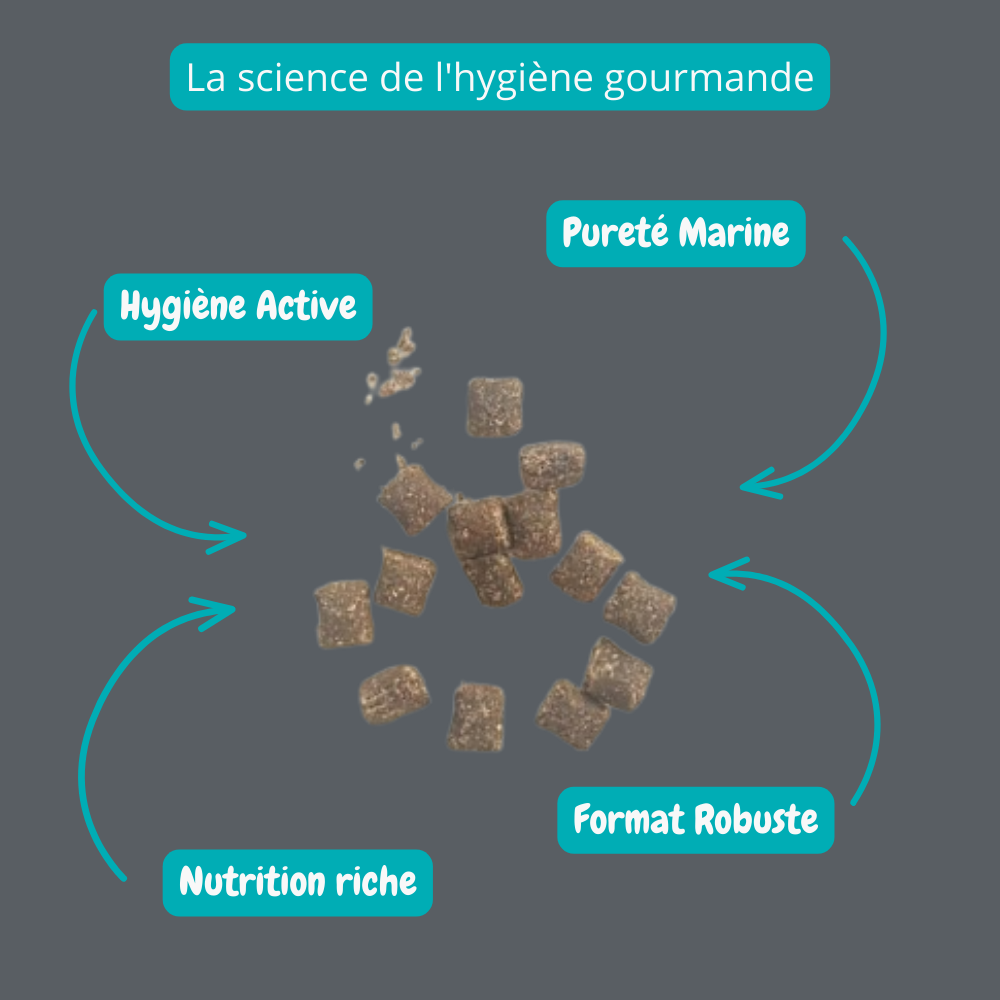 Gâteries d'entraînement