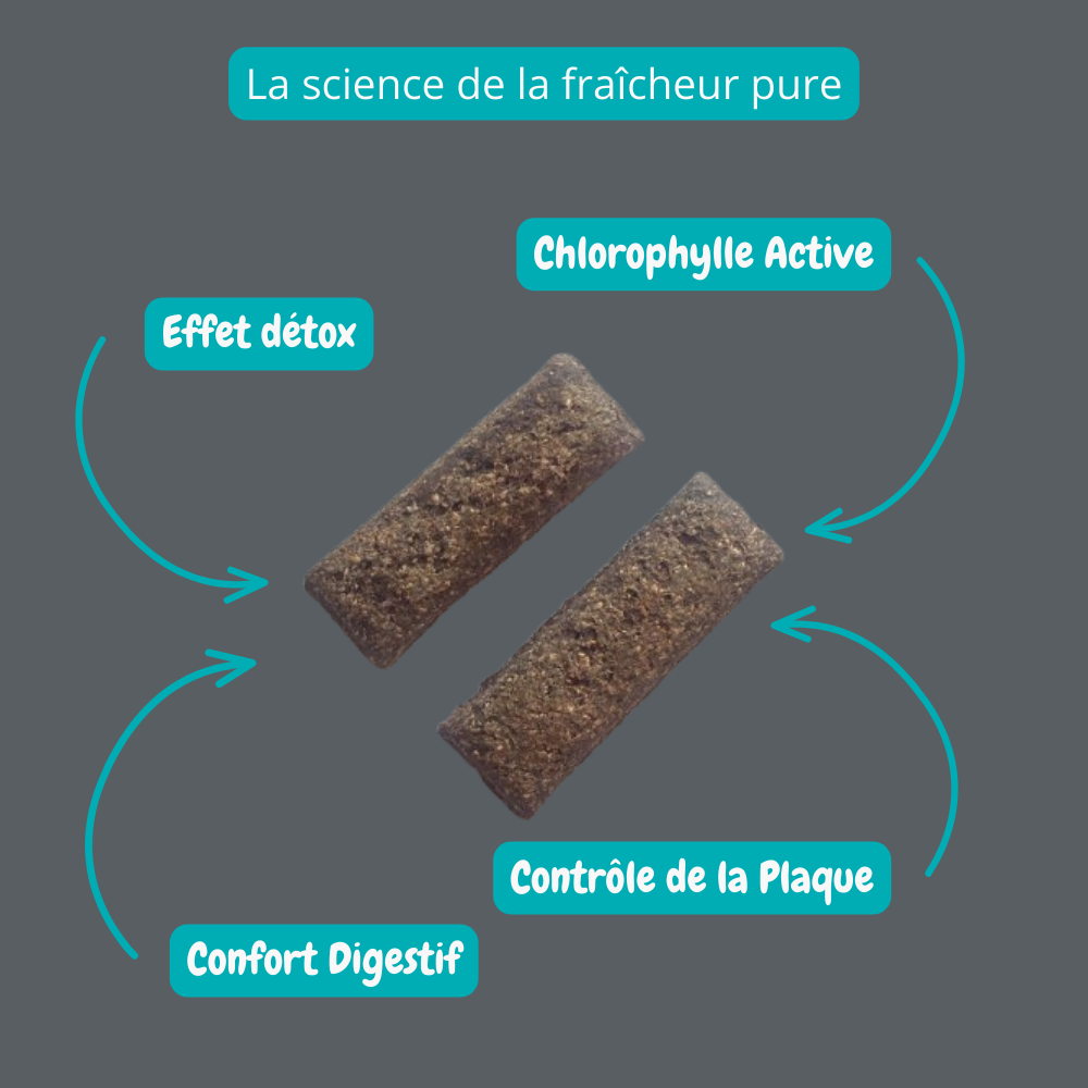 Biscuit croquant à saveur de Menthe et Persil