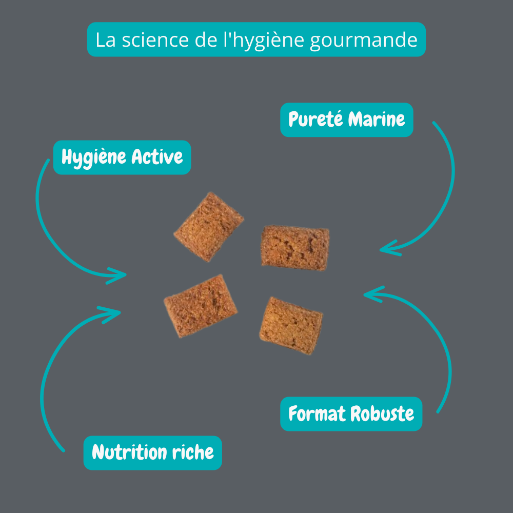 Biscuit croquant à saveur de saumon sauvage