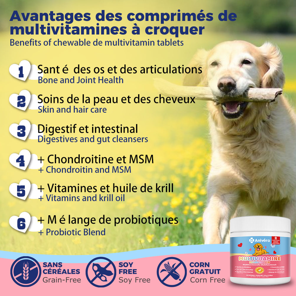 Supplément multivitamine pour chien Anivéra