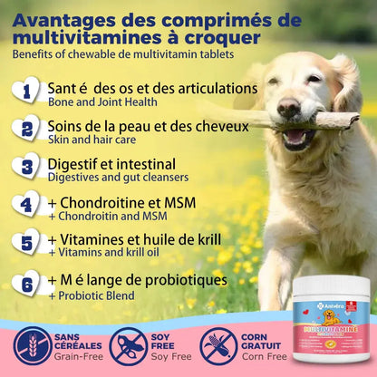 Chien heureux tenant un bâton, avantages des comprimés multivitamines à croquer pour chien, Anivéra.