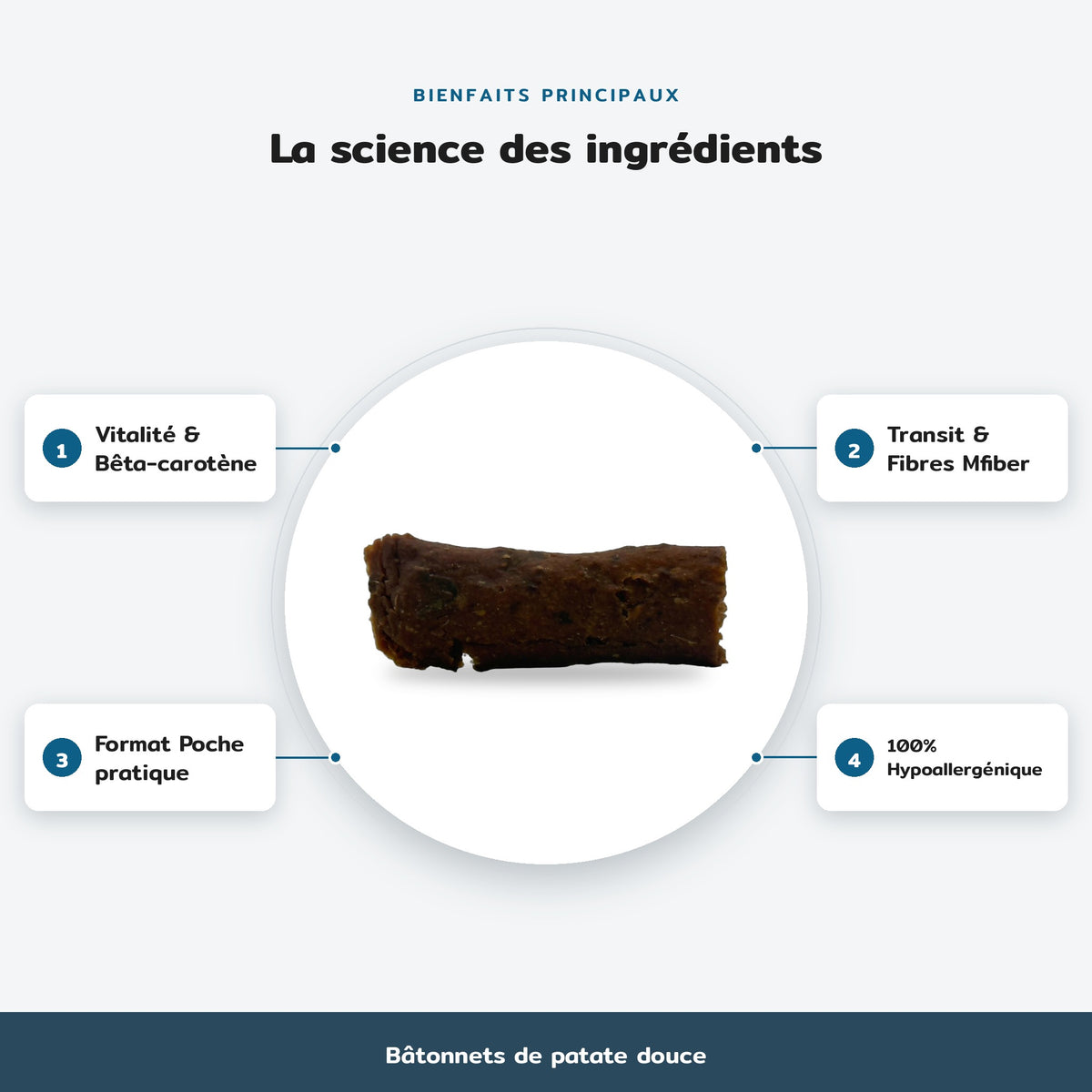 Bâtonnets de patate douce : La science des ingrédients. Bienfaits : Vitalité & Bêta-carotène, Transit & Fibres Mfiber, Format Poche pratique, 100% Hypoallergénique