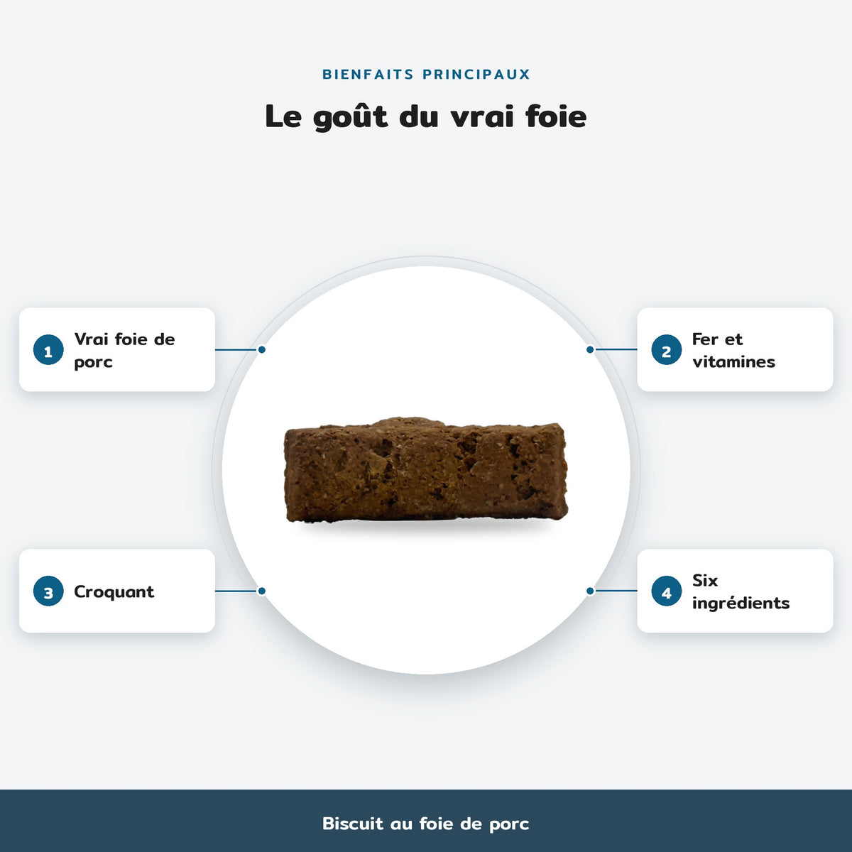 Infographie des bienfaits principaux, Biscuit au foie de porc : Vrai foie de porc, Fer et vitamines, Croquant, Six ingrédients
