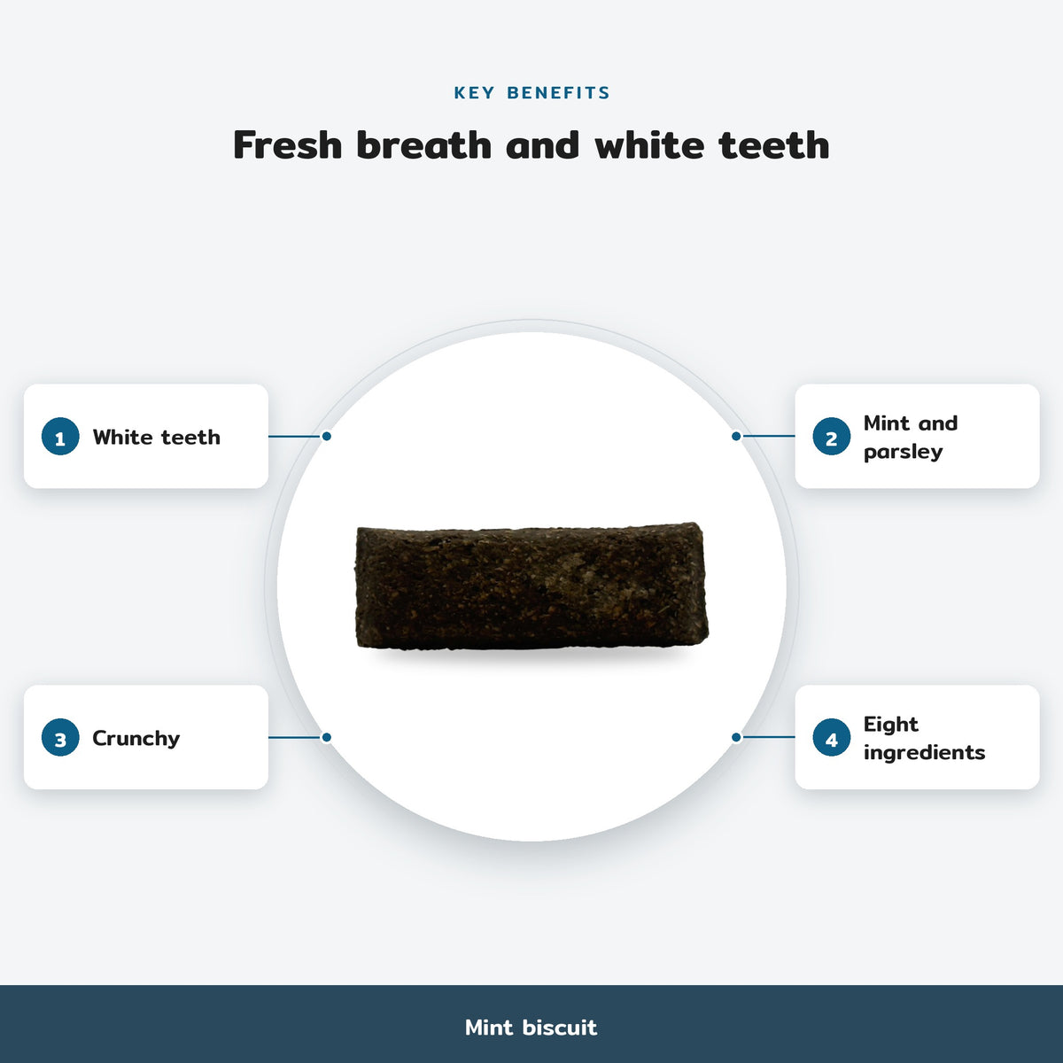 Key benefits infographic, Mint biscuit: White teeth, Mint and parsley, Crunchy, Eight ingredients