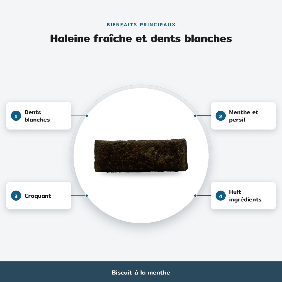 Infographie des bienfaits principaux, Biscuit à la menthe : Dents blanches, Menthe et persil, Croquant, Huit ingrédients