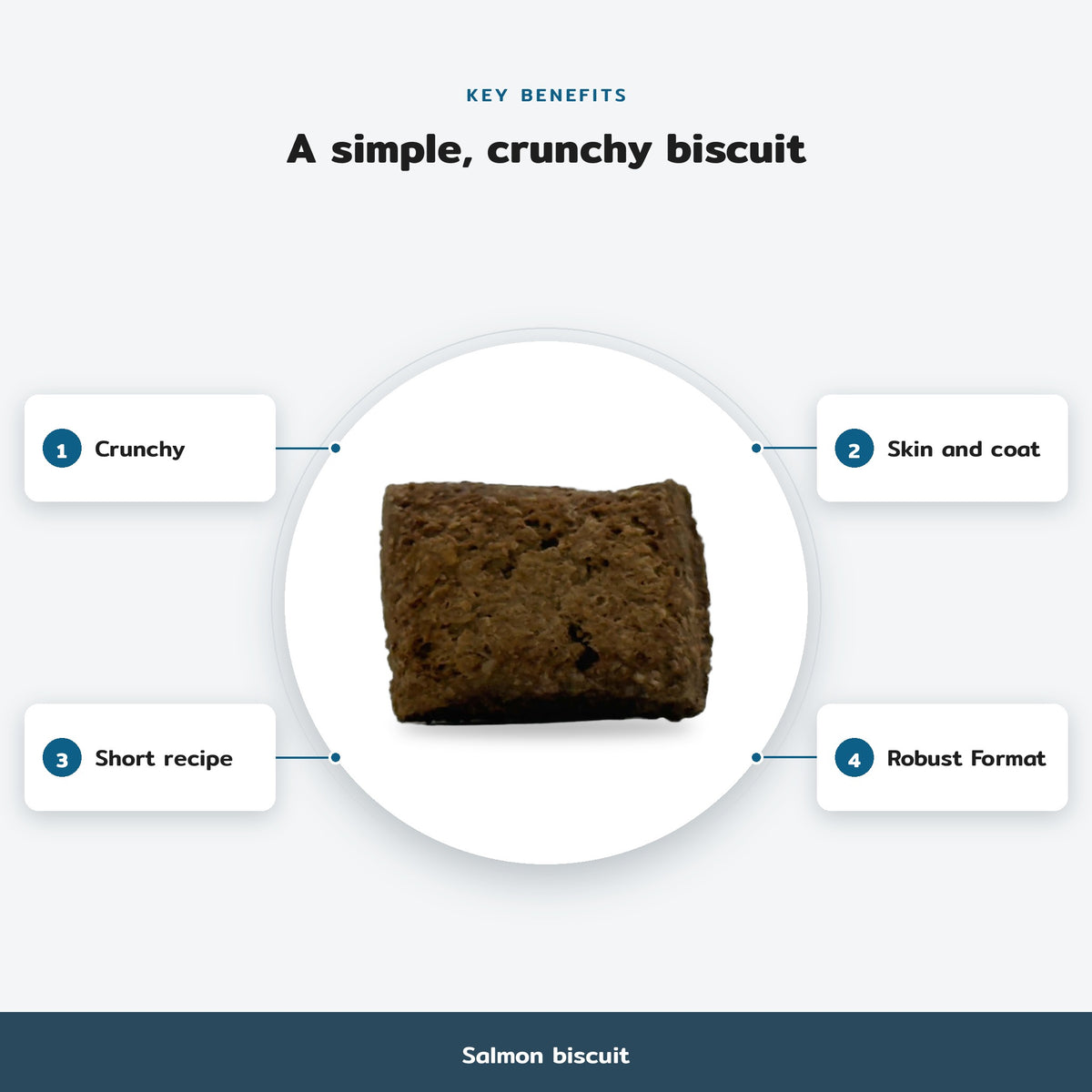 Key benefits infographic, Salmon biscuit: Crunchy, Skin and coat, Short recipe, Robust Format