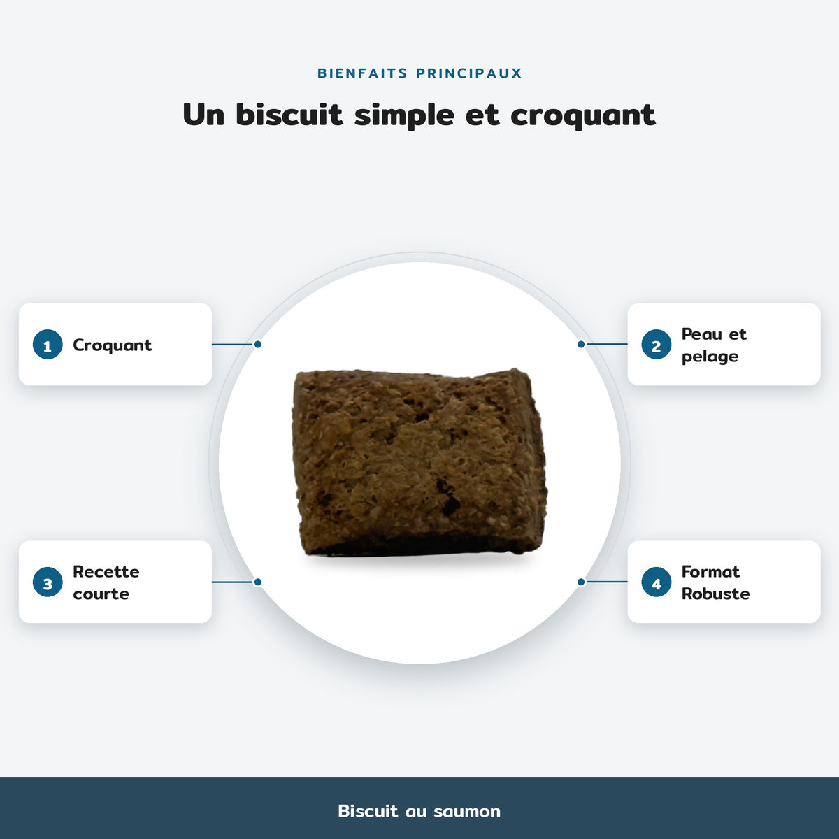 Infographie des bienfaits principaux, Biscuit au saumon : Croquant, Peau et pelage, Recette courte, Format Robuste
