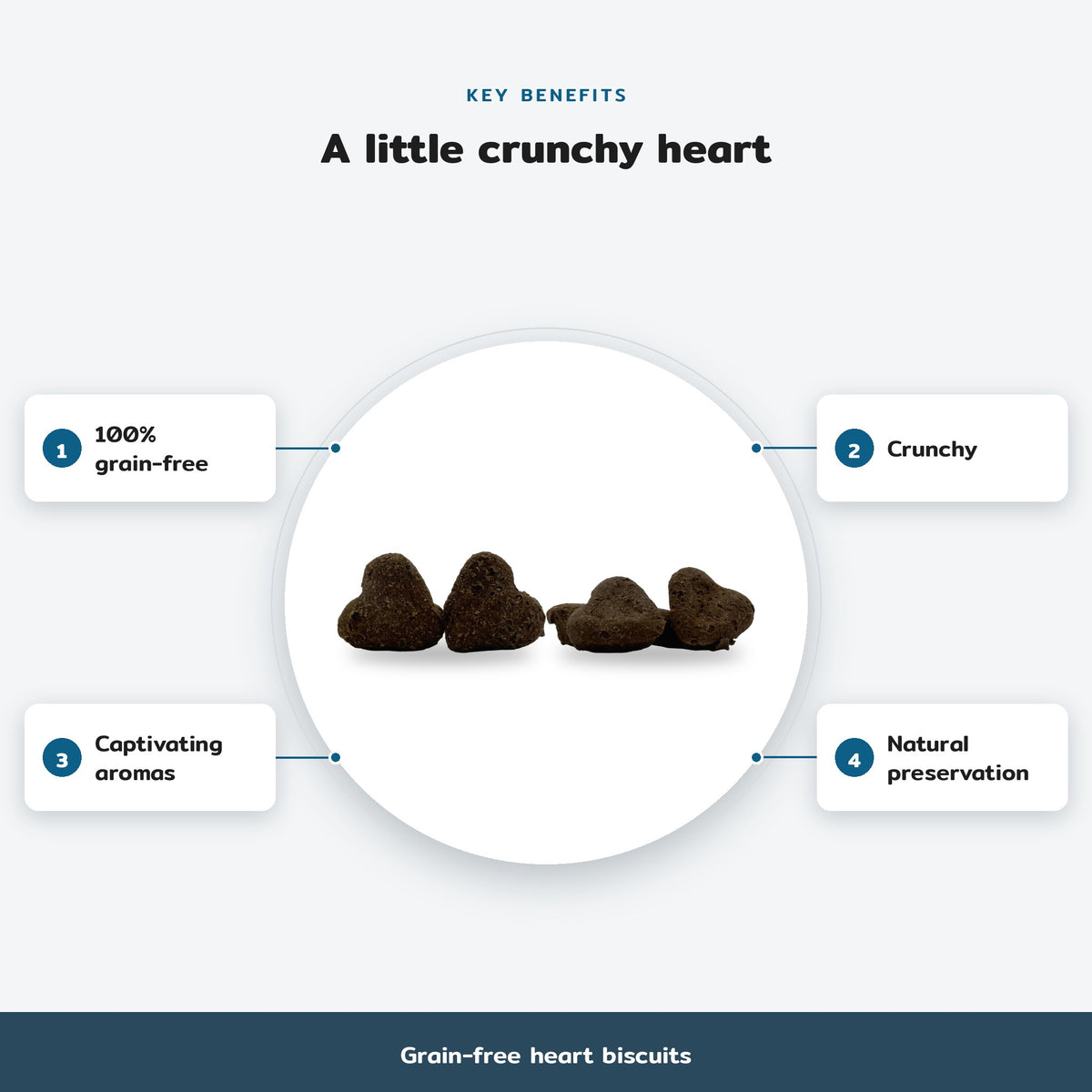 Key benefits infographic, Grain-free heart biscuits: 100% grain-free, Crunchy, Captivating aromas, Natural preservation