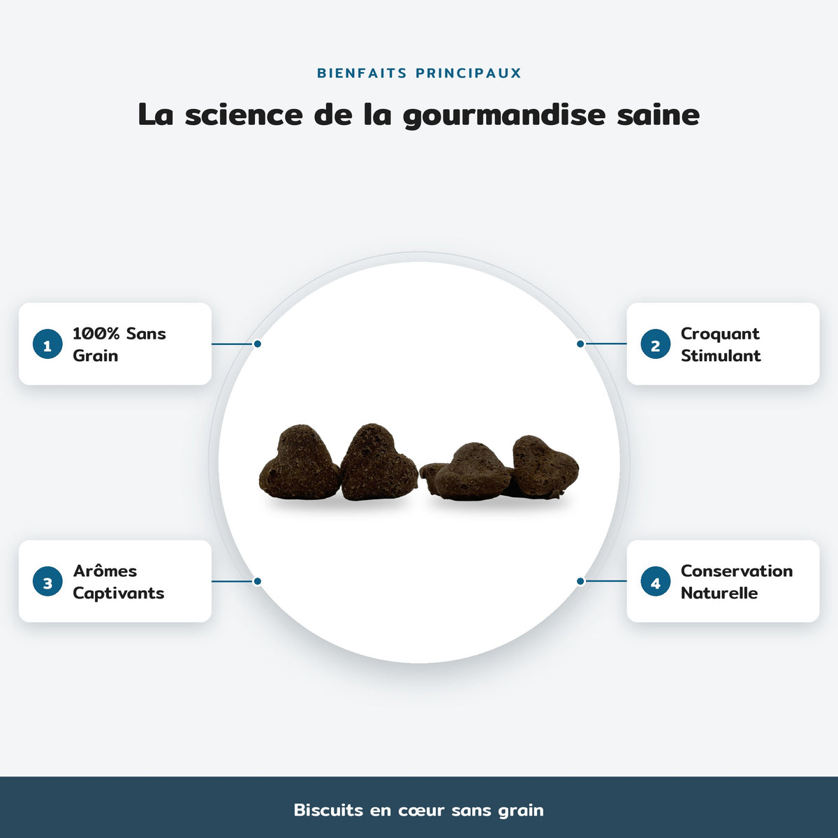 Biscuits en cœur sans grain : La science de la gourmandise saine. Bienfaits : 100% Sans Grain, Croquant Stimulant, Arômes Captivants, Conservation Naturelle