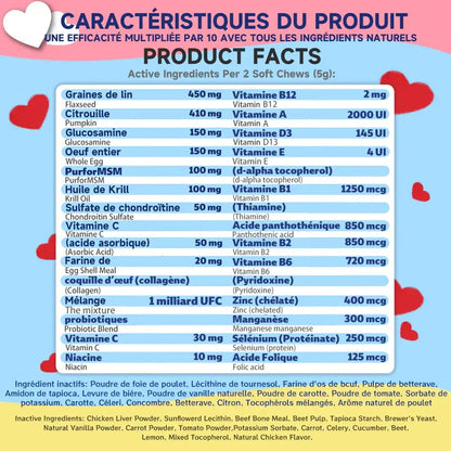 Tableau des ingrédients et vitamines d'un complément multivitamines naturel pour chiens, fond coloré avec cœurs rouges, texte en français et anglais.