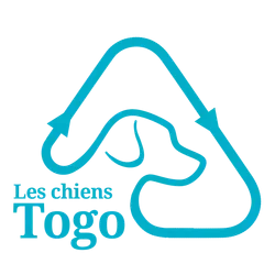 charity_les_chiens_togo_1764880001082 - Anivéra Image