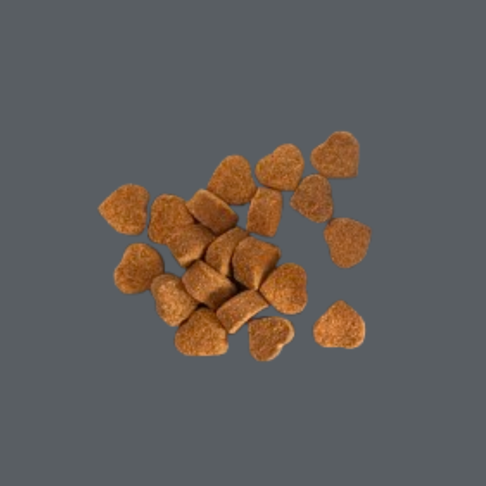 Gâterie multivitamine pour chien