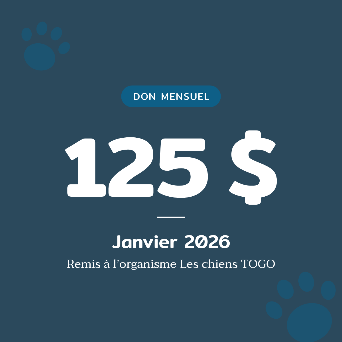 Don mensuel de 125 $ remis à Les chiens TOGO en janvier 2026