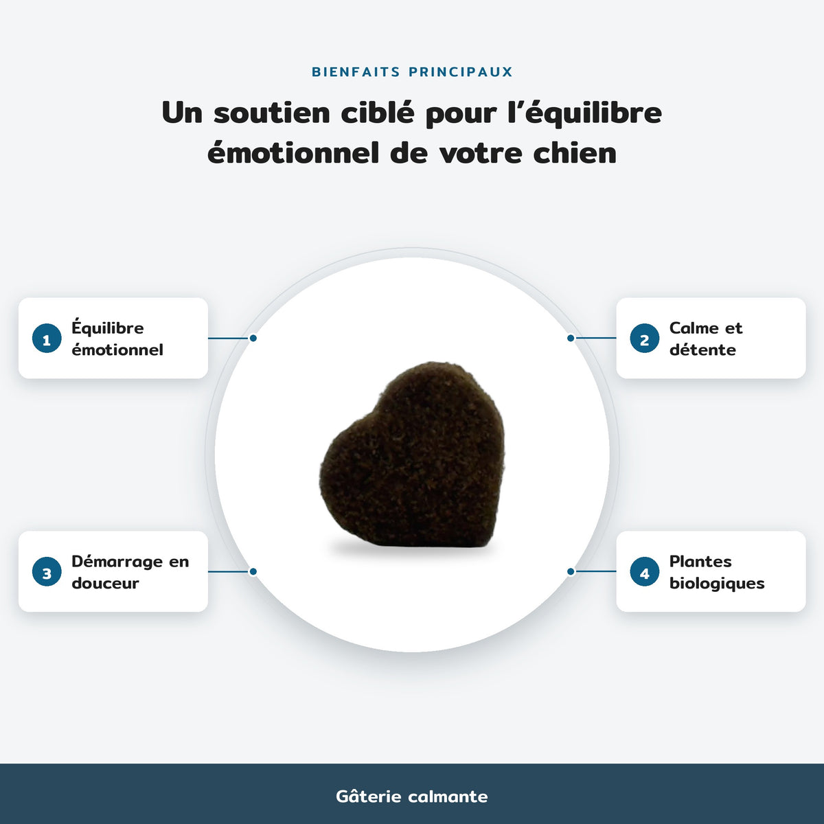 Infographie des bienfaits principaux, Gâterie calmante : Équilibre émotionnel, Calme et détente, Démarrage en douceur, Plantes biologiques