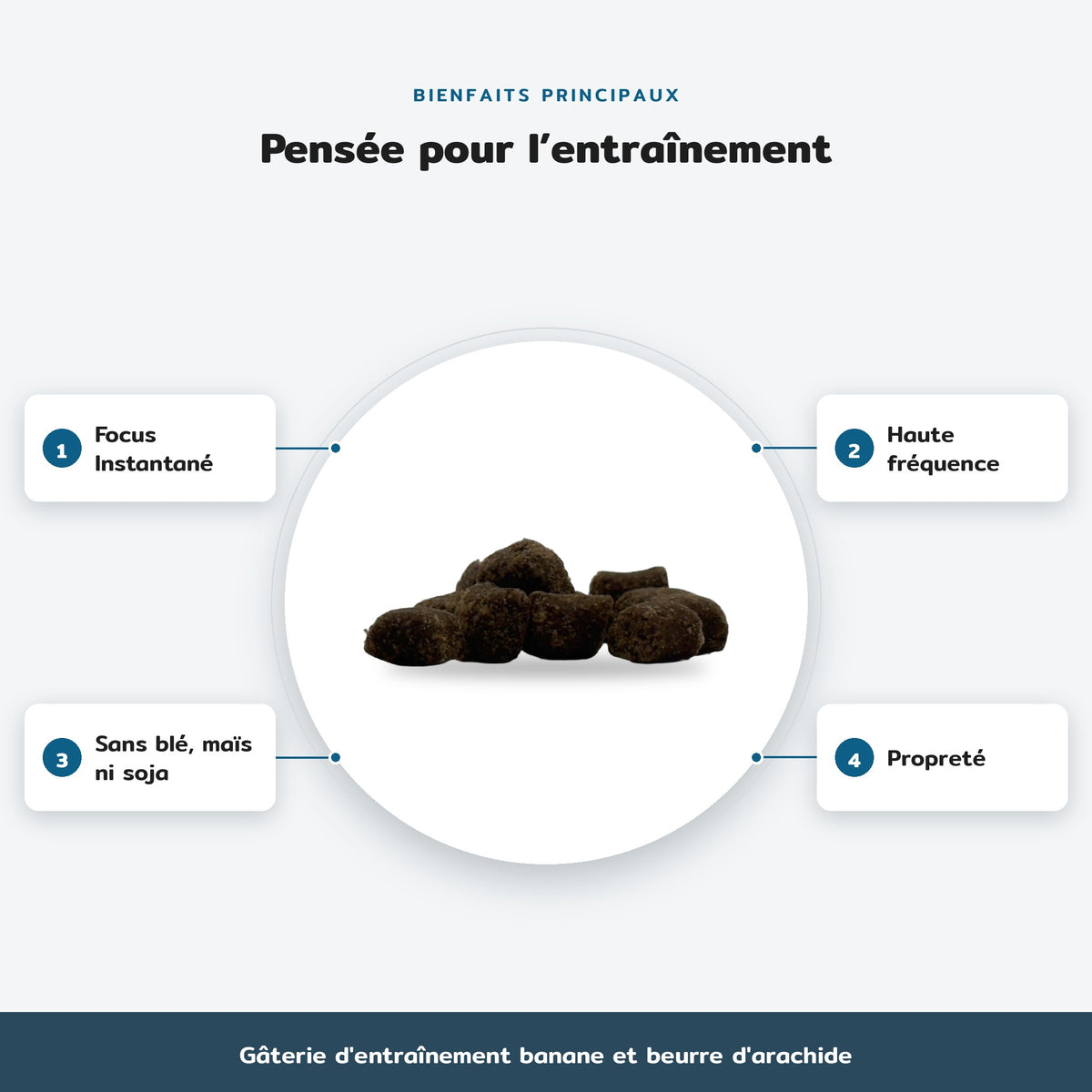 Infographie des bienfaits principaux, Gâterie d'entraînement banane et beurre d'arachide : Focus Instantané, Haute fréquence, Sans blé, maïs ni soja, Propreté