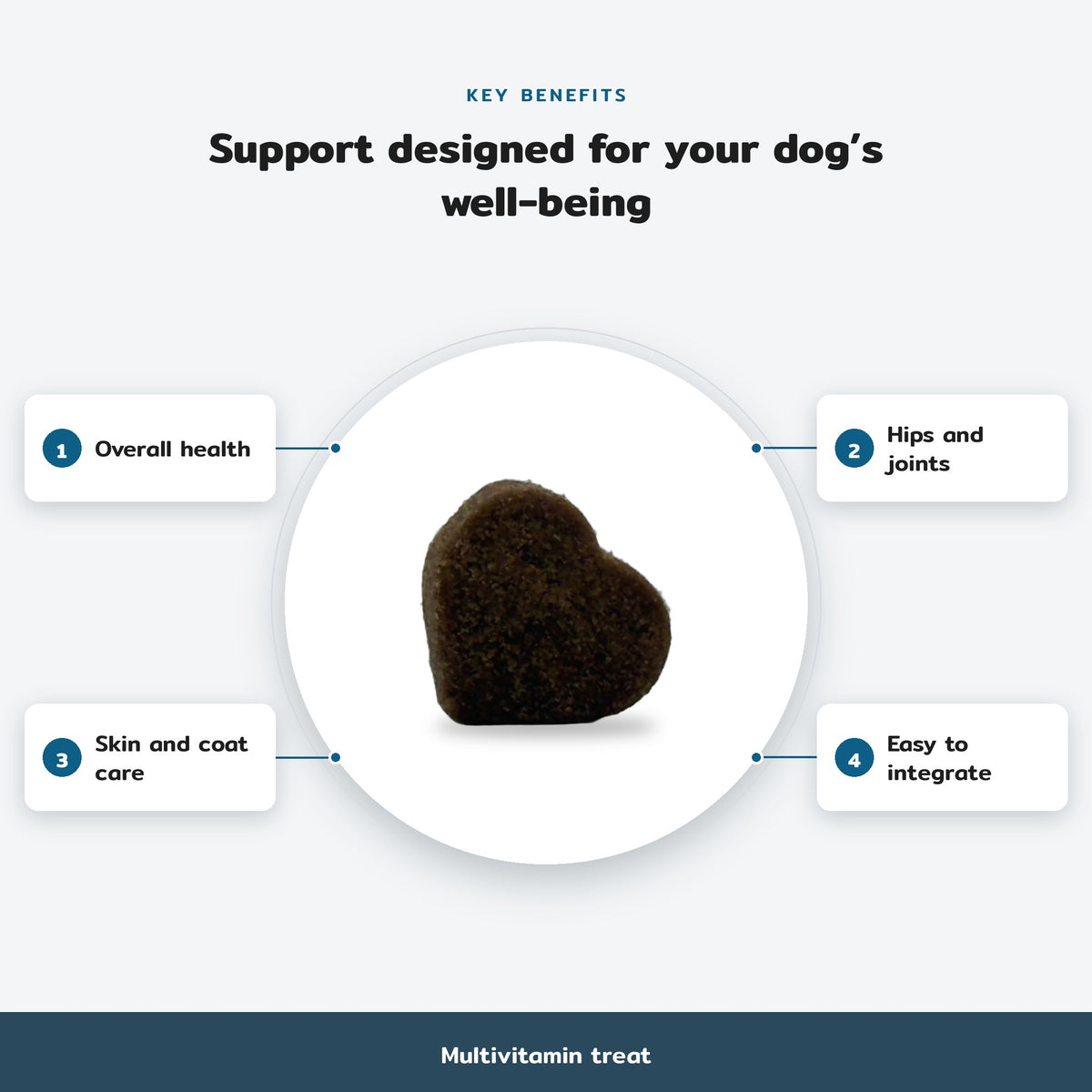Key benefits infographic, Multivitamin treat: Overall health, Hips and joints, Skin and coat care, Easy to integrate