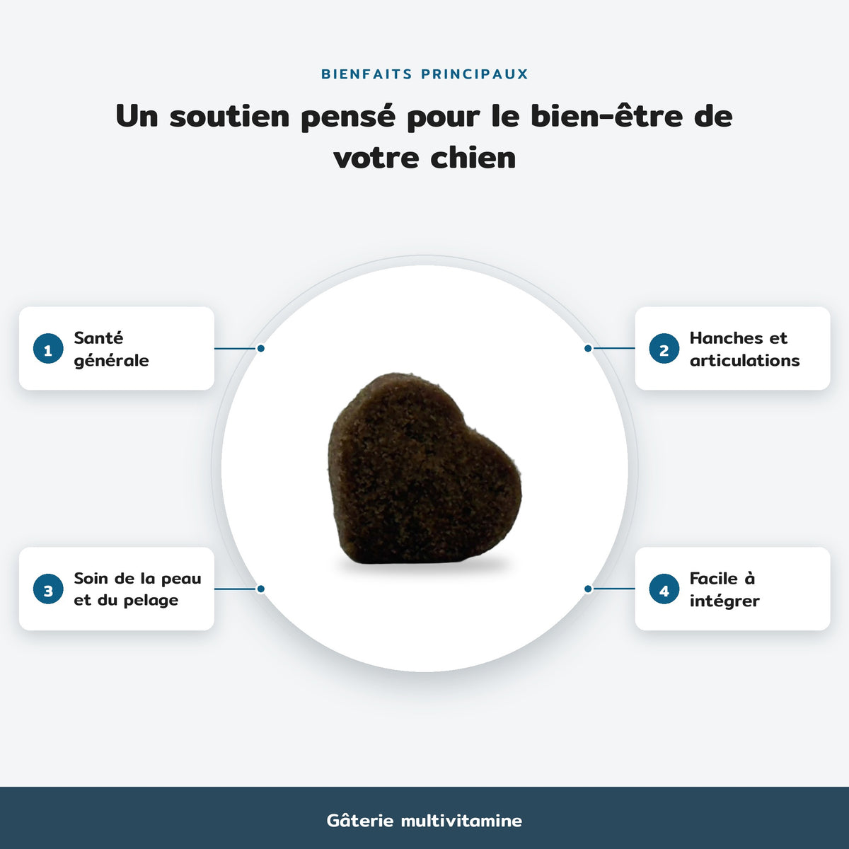 Infographie des bienfaits principaux, Gâterie multivitamine : Santé générale, Hanches et articulations, Soin de la peau et du pelage, Facile à intégrer