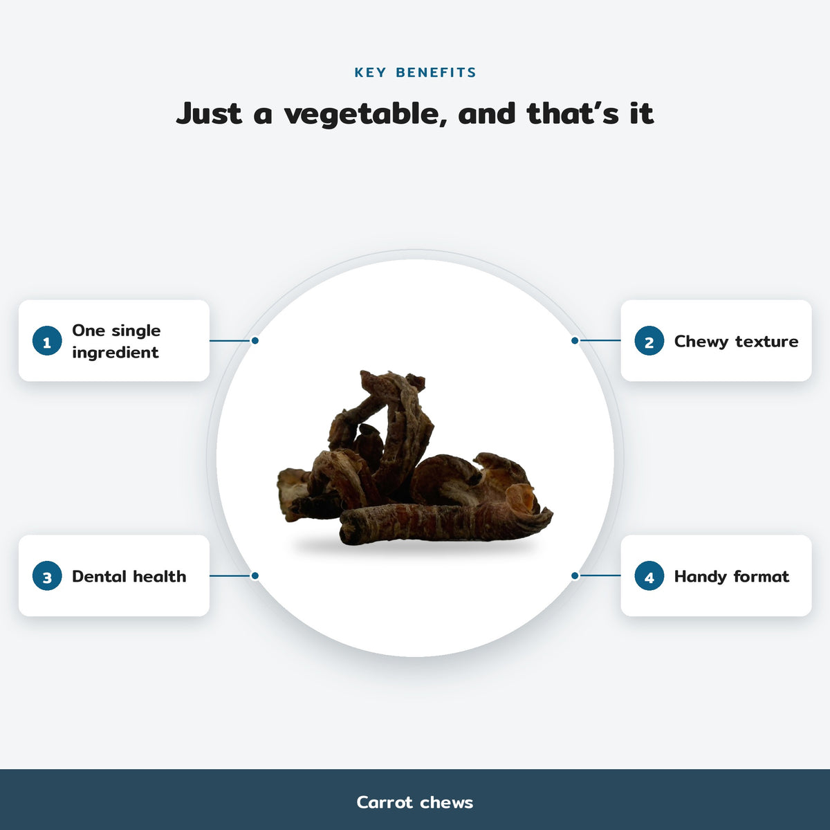 Key benefits infographic, Carrot chews: One single ingredient, Chewy texture, Dental health, Handy format