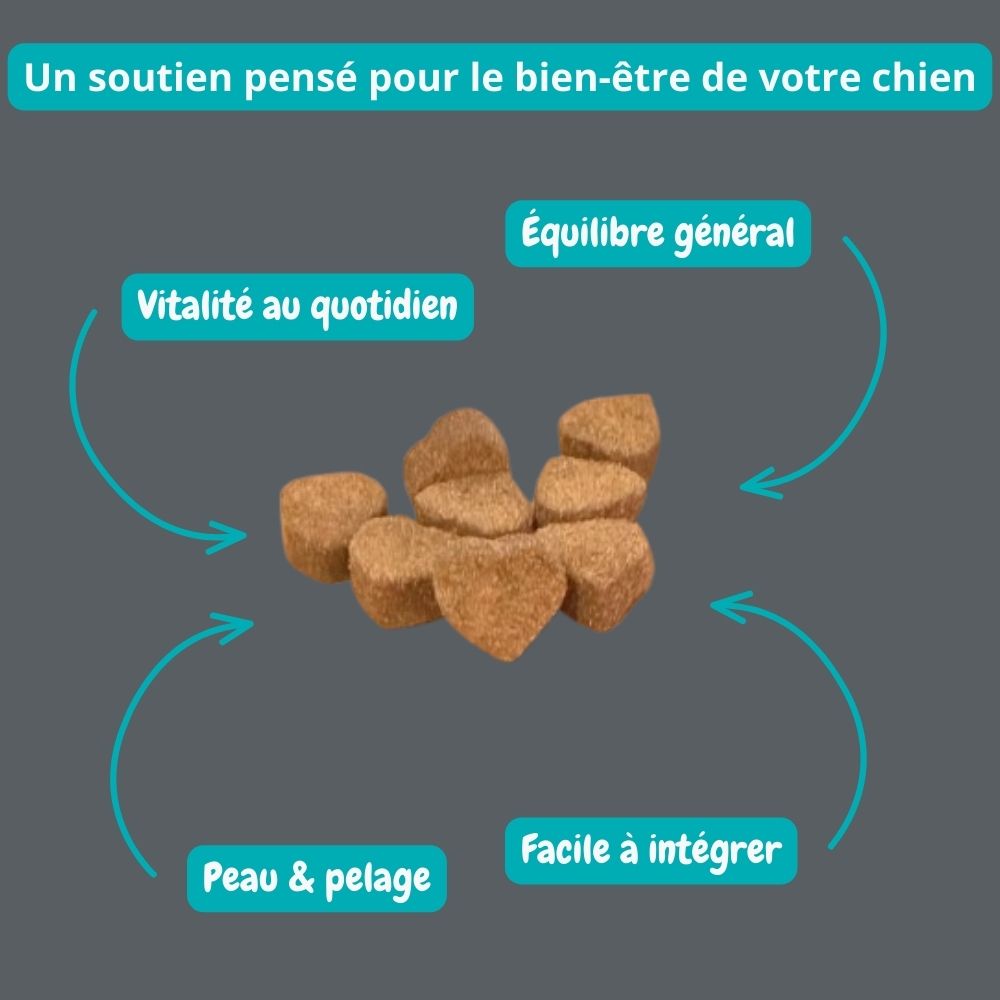 Gâterie multivitamine Image