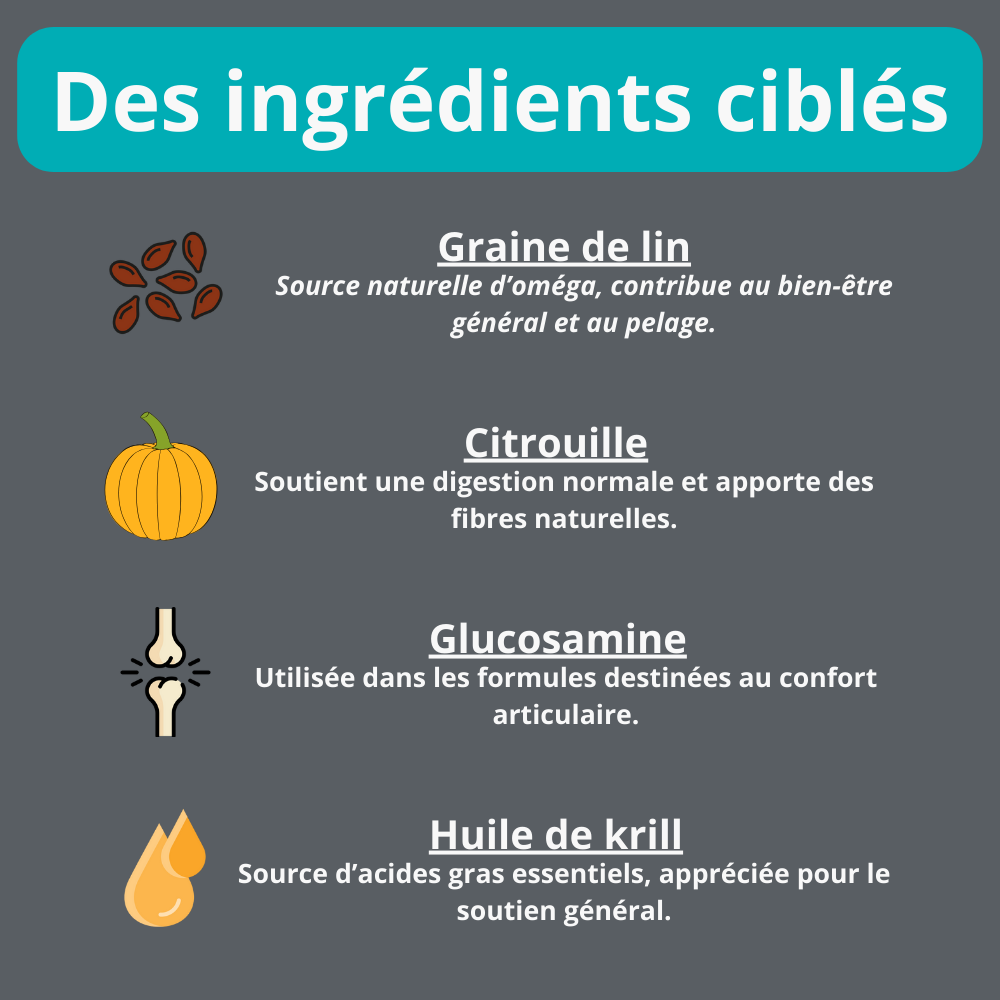 Ingrédients multivitamine 2