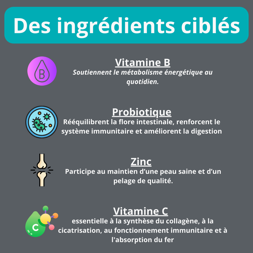 ingrédients multivitamine