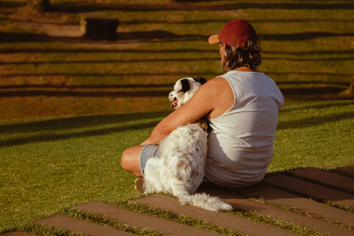 Person sitting on the grass hugging their dog