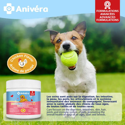 Chien jouant avec une balle de tennis, pot de multivitamines Anivéra arôme poulet, complément alimentaire pour chiens.