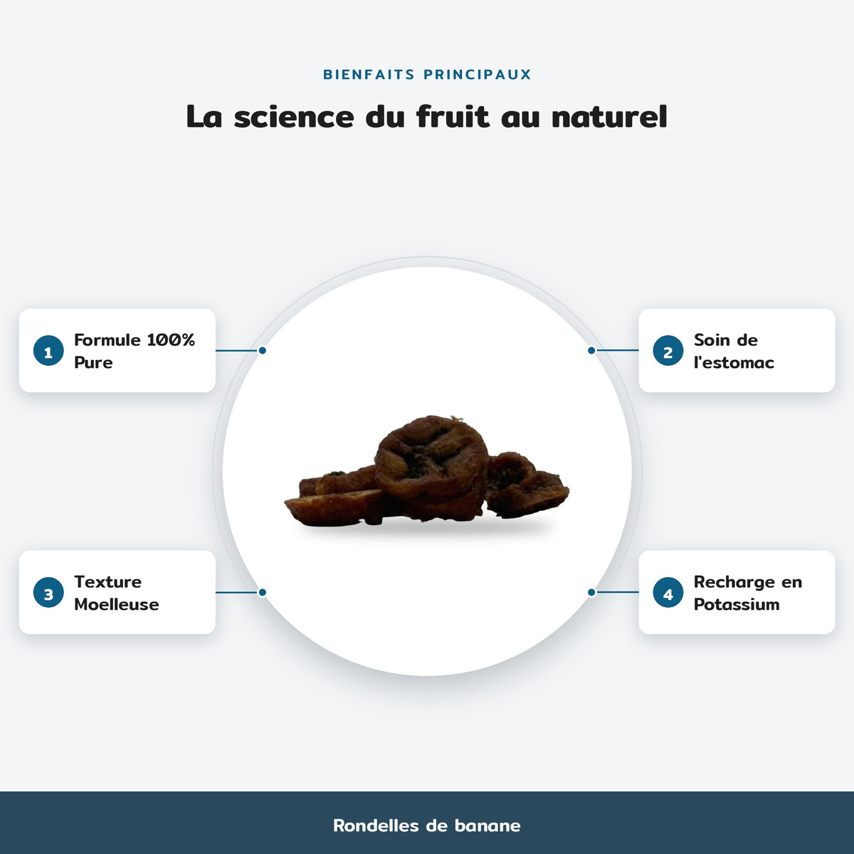 Rondelles de banane : La science du fruit au naturel. Bienfaits : Formule 100% Pure, Soin de l'estomac, Texture Moelleuse, Recharge en Potassium