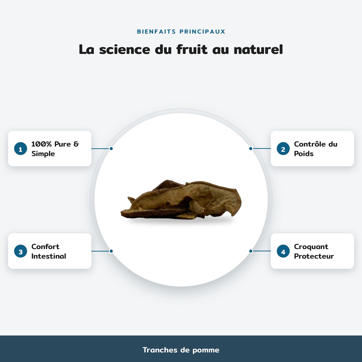 Tranches de pomme : La science du fruit au naturel. Bienfaits : 100% Pure & Simple, Contrôle du Poids, Confort Intestinal, Croquant Protecteur